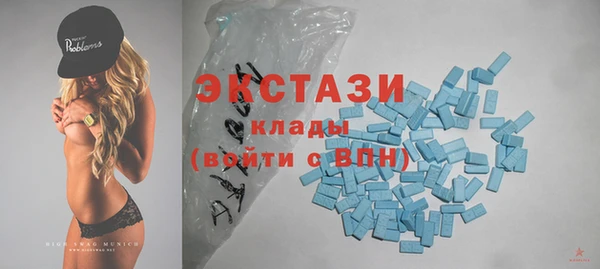 индика Новокубанск