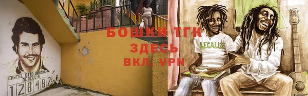 индика Новокубанск