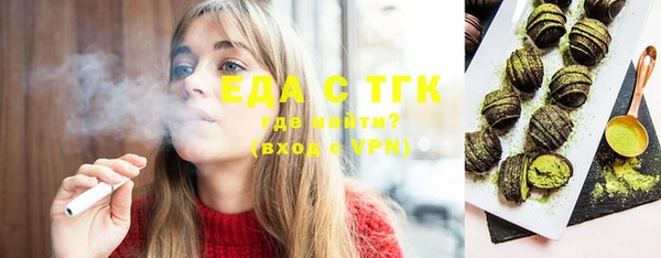 индика Новокубанск