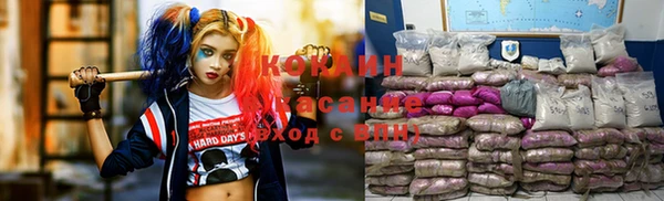 индика Новокубанск