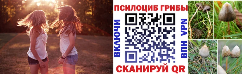 Галлюциногенные грибы Cubensis  Геленджик 