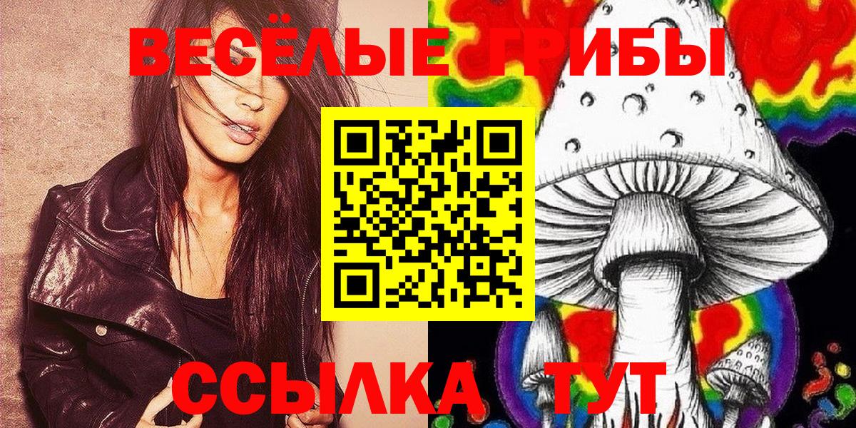 Геленджик  Псилоцибиновые грибы мухоморы  наркотики  Вход с VPN 