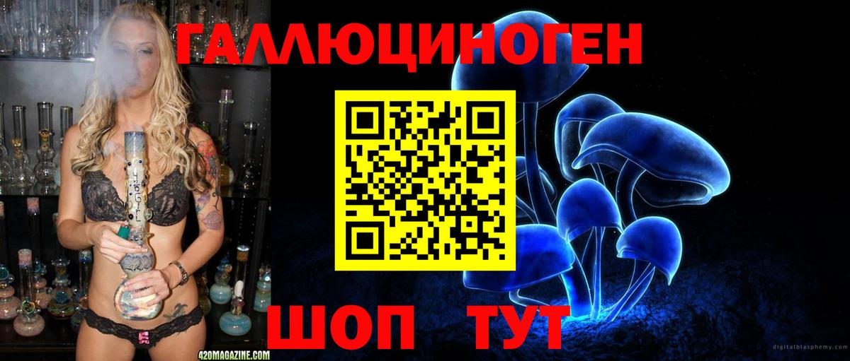 Псилоцибиновые грибы Psilocybe Геленджик